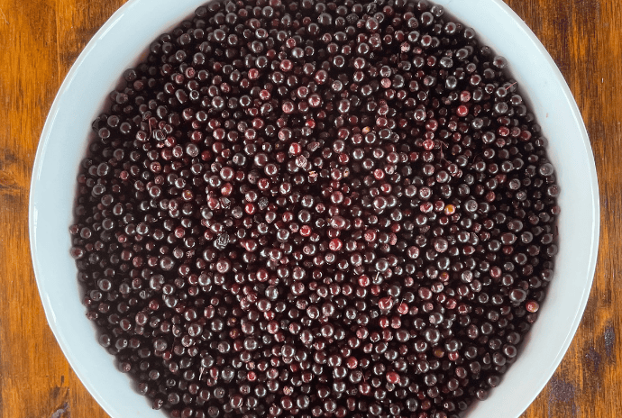 fresh elderberries in a large white bowl