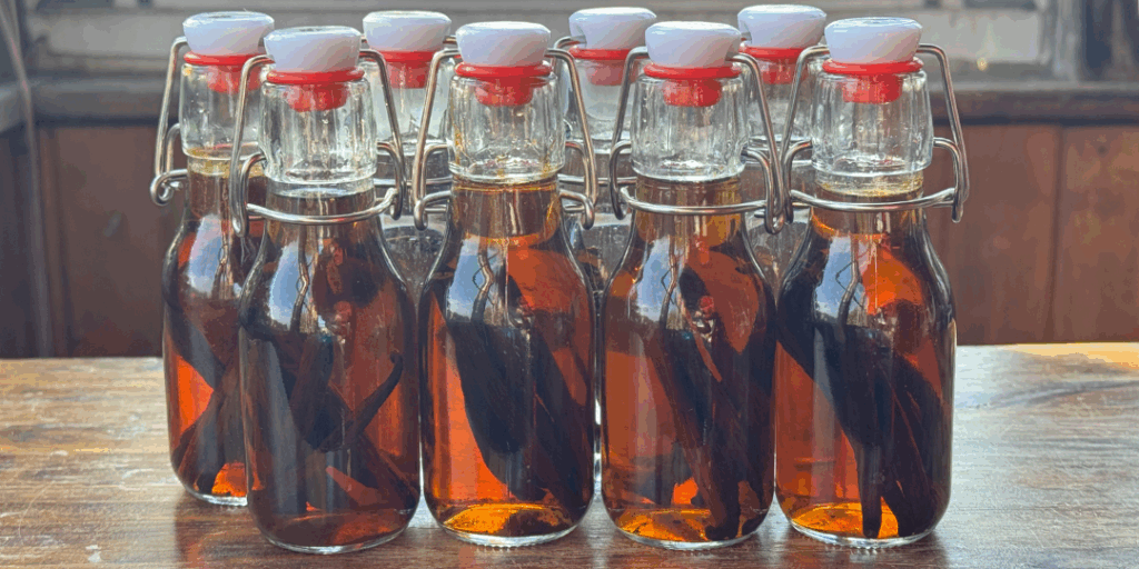 homemade vanilla extract in bottles for gifts