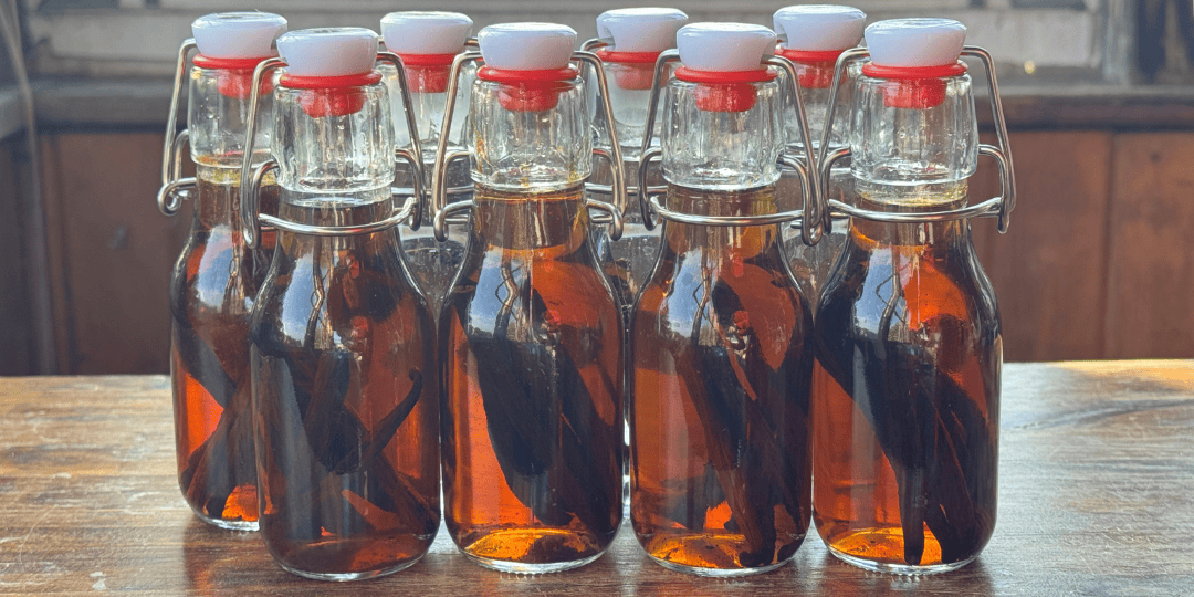 homemade vanilla extract in bottles for gifts