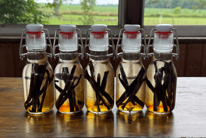 homemade vanilla extract in 4-oz bottles for gifting