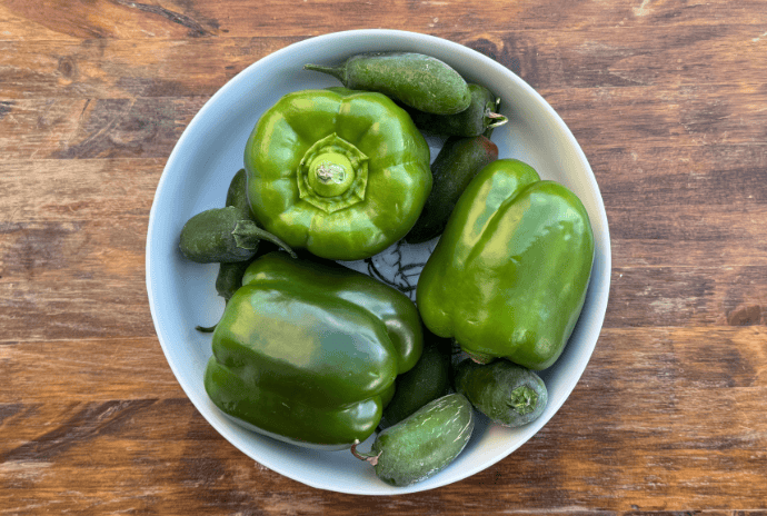 homegrown green peppers and jalapeños in a white bowl