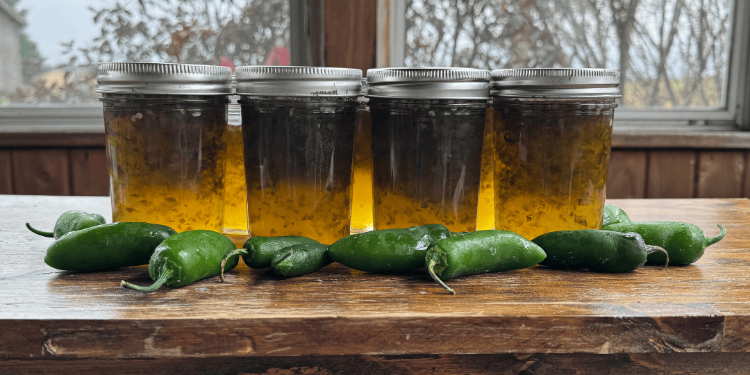 garden fresh jalapeño jelly in jars with jalapeños