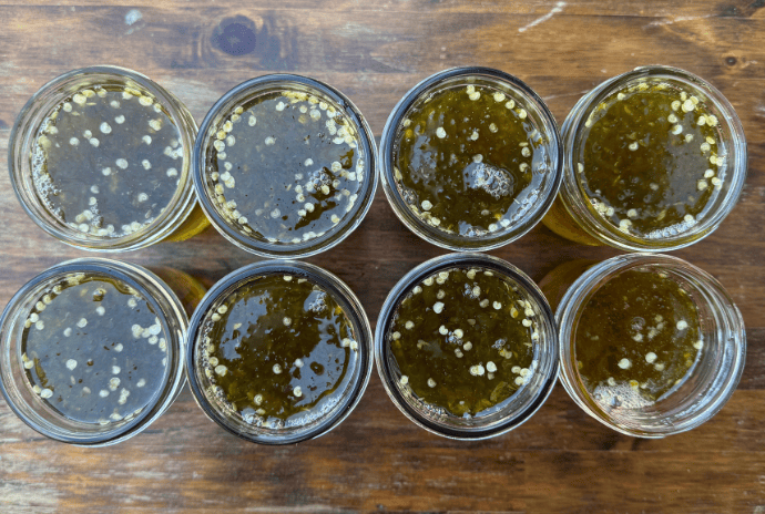 homemade jalapeño jelly to can or freeze