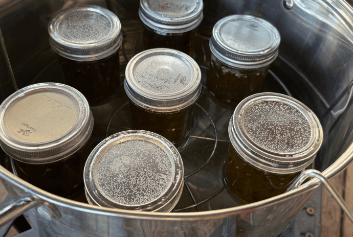 water bath canning jalapeño jelly