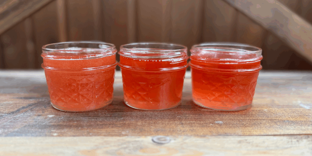 fresh infused st john's wort in 4 oz mason jars