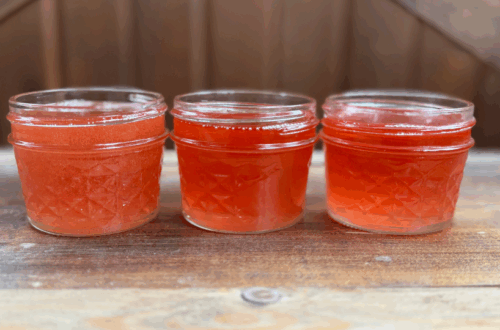 fresh infused st john's wort in 4 oz mason jars