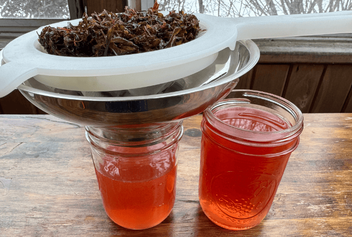 straining st johns wort out of infused oil