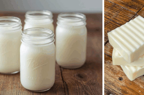 what is tallow, tallow in mason jars, traditional unscented tallow soap