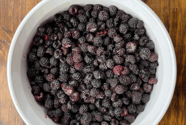 How to Grow Black Raspberries from Wild or Cultivated Plants