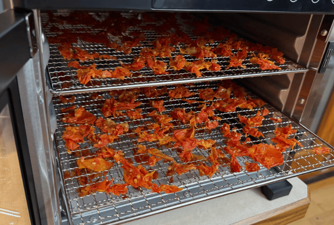 tomato skins and scraps drying in the dehydrator