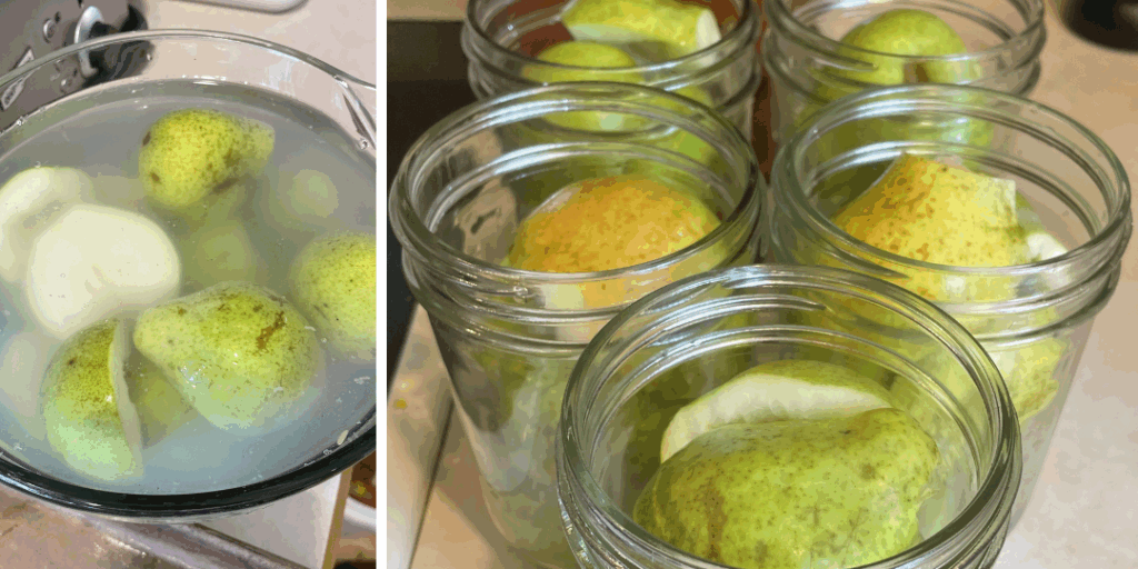 canning pears, pears in lemon water, pear halves in jars