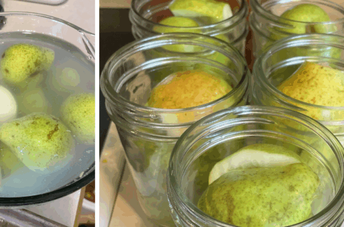 canning pears, pears in lemon water, pear halves in jars