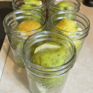 jarred pear halves, ready to be waterbath canned