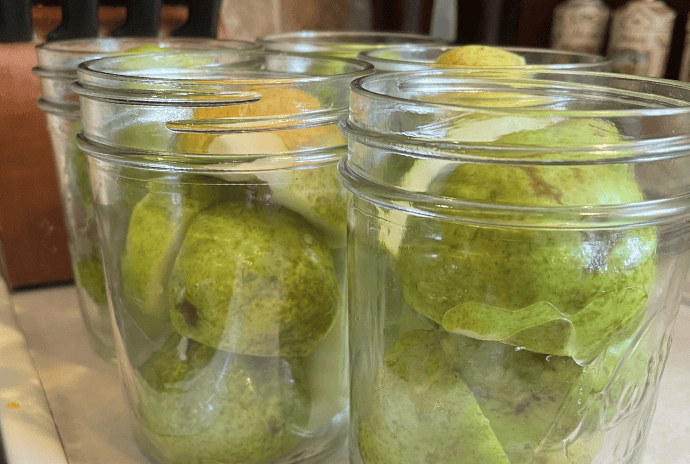 jarred pear halves ready for canning